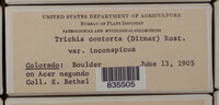Image Associated With the Occurence